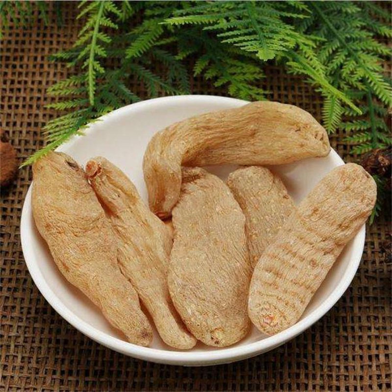 乌天麻种植:未来趋势解读