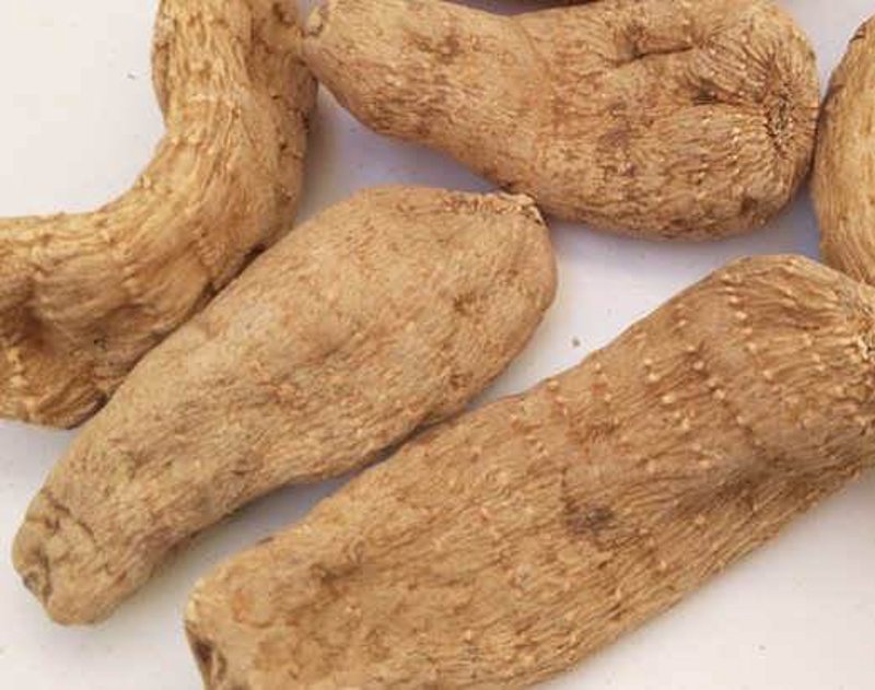 乌天麻种植:新时代中药产业的绿色崛起