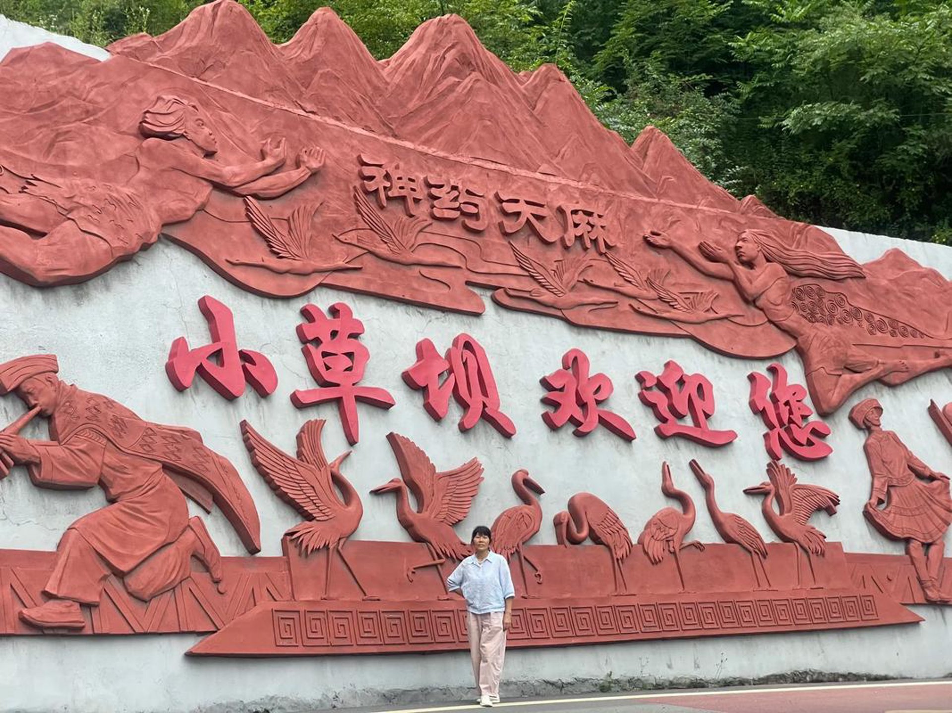 小草坝天麻