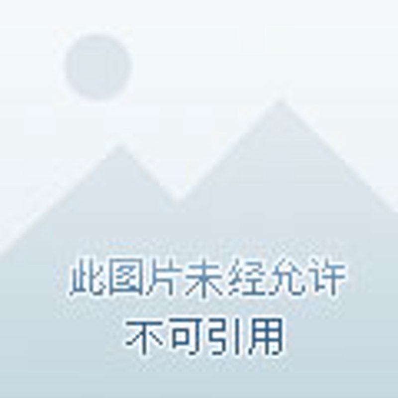 彝良小草坝天麻：自然馈赠的珍贵宝石